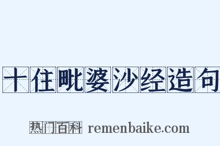 十住毗婆沙经造句是什么意思的图片